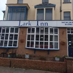 Lark Guest house